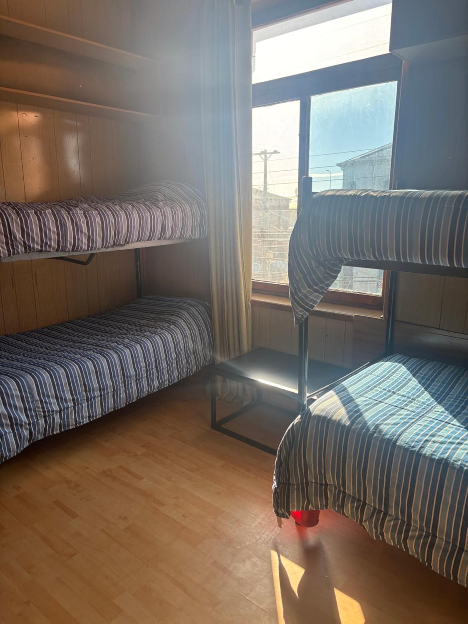 Hostel La Morenita Punta Arenas Eksteriør bilde